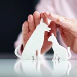 Legal Considerations for Handling Controlled Substances in a Veterinary Practice