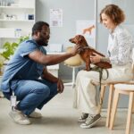 Conducting Due Diligence in Veterinary Mergers and Acquisitions: What to Assess and How to Mitigate Risks